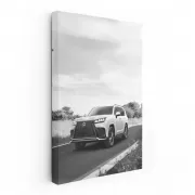 Lexus Black and White Journey - Elegance in Motion