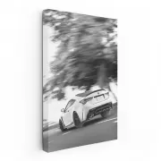 Elegant Lexus in Black and White - Sleek Road Masterpiece