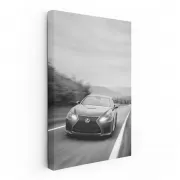 Sleek Lexus Black and White on Highway - Elegance in Motion