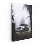 Misty Forest Lexus - Elegance Meets Adventure