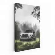 Foggy Forest Lexus - Elegance in Motion