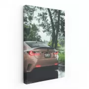 Lexus in Woods - Rugged Elegance on Wheels