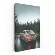 Lexus in Woods - Spacious and Sleek Adventure