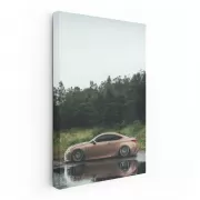 Lexus in Woods - Elegance Meets Nature