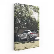 Lexus Parked in Yard - Stylish and Elegant Design