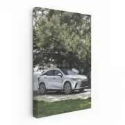 Lexus Parked in Yard - Sleek and Stylish Ride