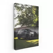 Luxurious Lexus Parked in Yard - Ultimate Comfort and Style