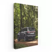 Lexus Nature Series Photo 1 - Elegance in Motion