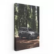 Lexus and Nature - Experience Serenity and Luxury