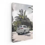 Maybach GLS 600 - Luxury Beneath Palm Tree - Elegance in Motion