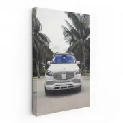 Maybach GLS 600: Luxurious Elegance Beneath Palm Tree