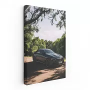 Mercedes AMG Parked Amidst Nature - Power Meets Elegance