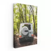 Mercedes Grey G Wagon in Forest: Rugged Luxury Adventure