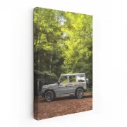 Mercedes Grey G Wagon Surrounded by Nature - Rugged Elegance