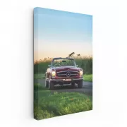 Classic Mercedes in Nature - Timeless Elegance on Wheels