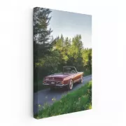 Vintage Mercedes in Nature - Classic Elegance in Motion