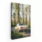 Vintage Mercedes W126 in Forest - Classic Elegance on Wheels
