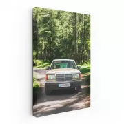 Vintage Mercedes W126 in Forest - Classic Elegance and Power