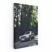 Classic Mercedes W126 in Forest - Timeless Elegance