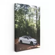 White Mercedes C63 AMG W204 in Forest - Power Meets Elegance