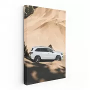 White Mercedes GLS in Desert - Elegance in Motion