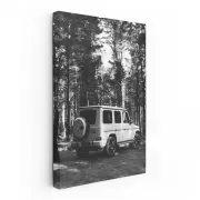 Elegant Black & White Mercedes - Timeless Luxury Style