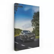 Mercedes Nature Serenity - Model 3 Luxury Ride