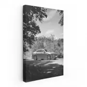 Mercedes Nature BW - Elegance in Every Detail