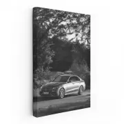 Mercedes Nature BW - Elegant and Timeless Design