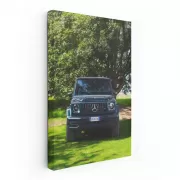 Mercedes-AMG G 63 in Park - Rugged Luxury on Wheels