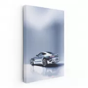 Silver Mercedes-AMG GT 63 4MATIC Parked - Power Meets Elegance