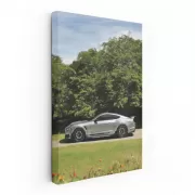 Shelby GT500 Mustang - Wild Beauty in Nature