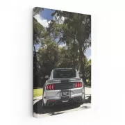 Ford Mustang Shelby GT500 in Nature - Power and Elegance