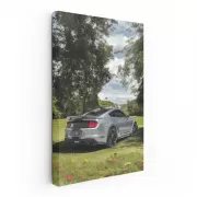 Mustang Shelby GT500 Wild Power - Nature's Beast