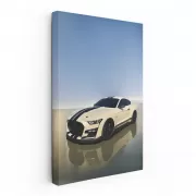 Mustang Shelby GT 500 Parking - Power and Elegance