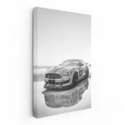 Mustang Classic Black & White - Iconic Power and Elegance