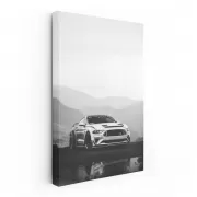 Black & White Mustang - Classic American Muscle