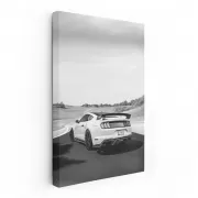 Vintage Black and White Mustang - Bold and Timeless