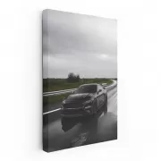 Mustang Cruising Highway - Power and Style