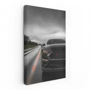 Mustang Cruising Highway - Speed Meets Freedom