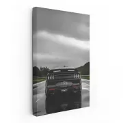 Mustang Cruising Highway - Icon of Speed and Power