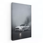 Grey Mustang Enveloped in Fog - Classic Powerhouse