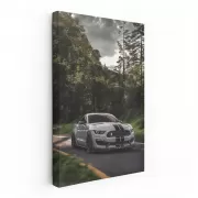 Grey Mustang Roaming Woods - Wild and Powerful