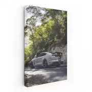 Grey Mustang Roaming Forest - Wild and Free