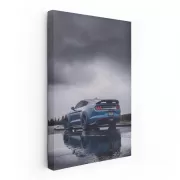 Foggy Mustang 1 - Elegance in Motion