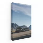 Mustang Roaming Mountains - Bold and Untamed