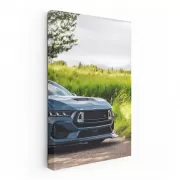 Mustang in Nature - Iconic and Untamed Spirit