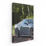 Mustang Wilderness - Iconic Power and Untamed Spirit