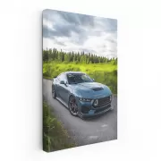 Mustang in Wild - Power, Freedom, and Adventure