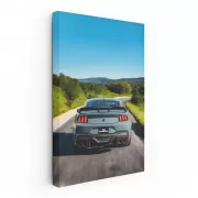 Mustang Cruising Highway - Iconic Speedster in Motion